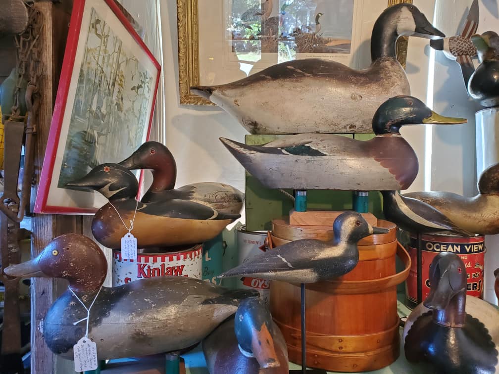 Things To Do Downpoint Decoys